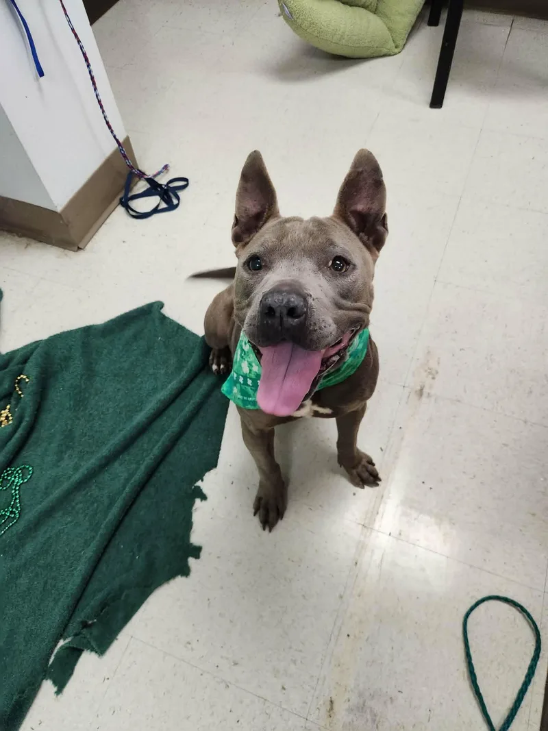 Freya Coming Soon To