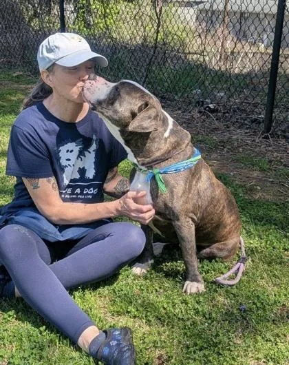 An adult large-sized male Mixed Breed dog named Equator for adoption in Chamblee, GA
