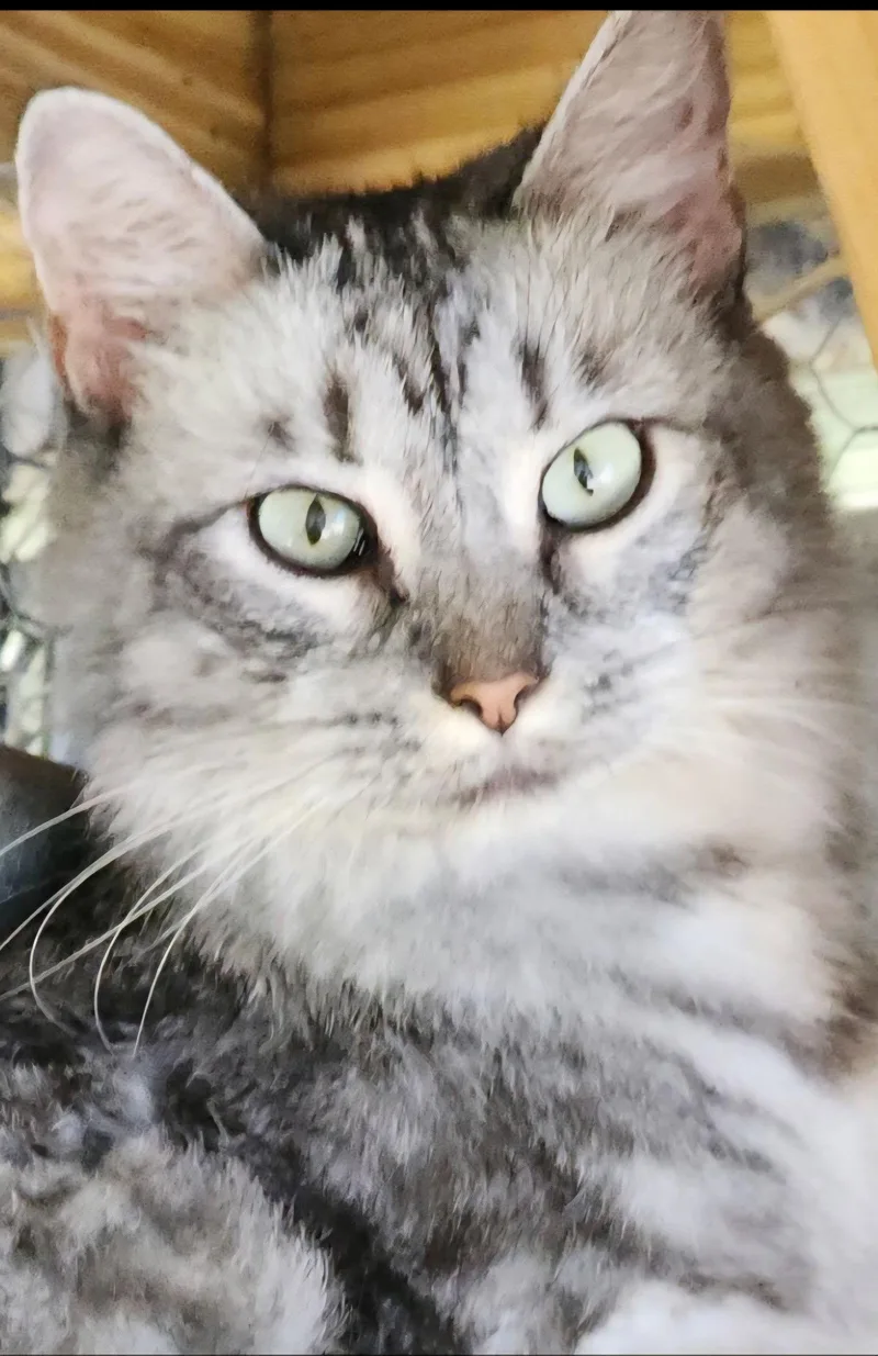 Flora .. thumbnail 2