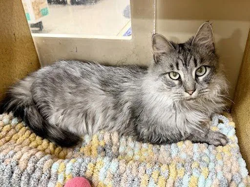 Flora .. thumbnail 3