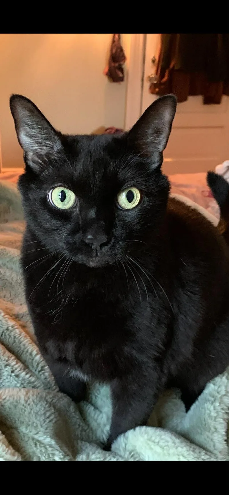 Little Guy And Natty