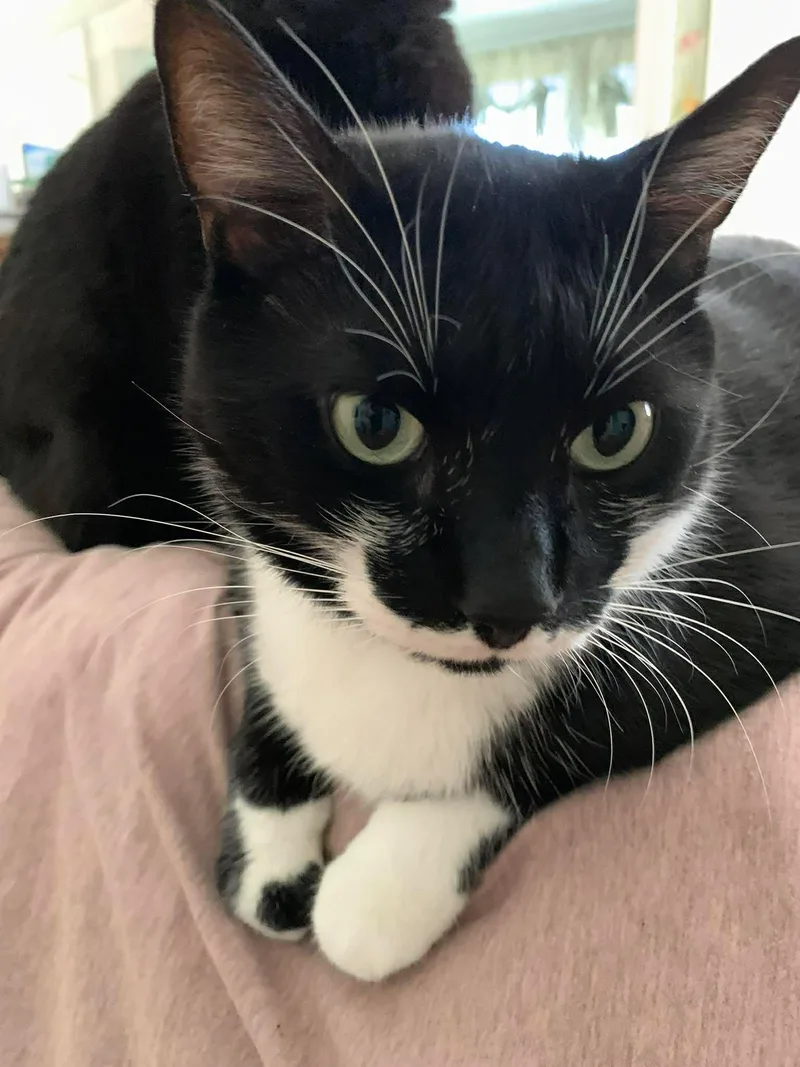 Little Guy And Natty thumbnail 2