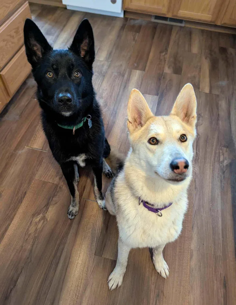 Fantasma thumbnail 2