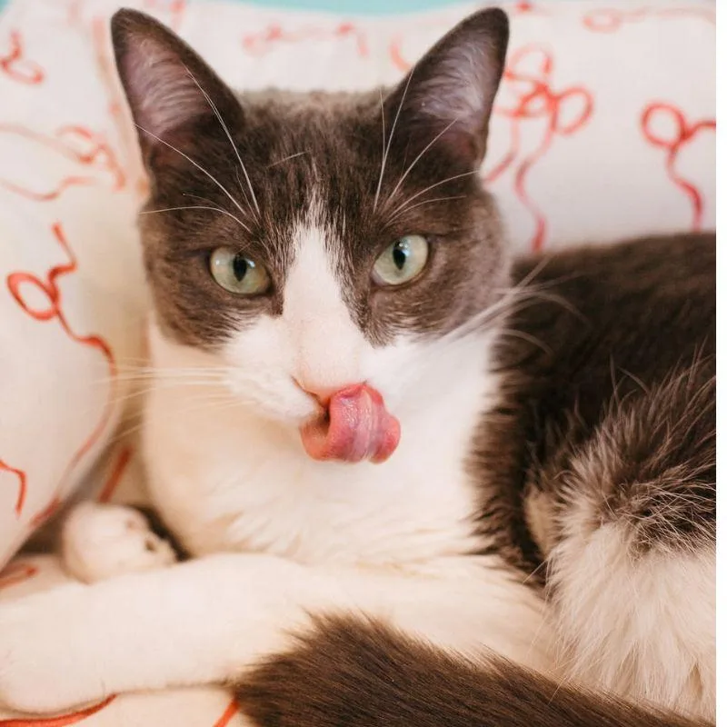 Vancouver thumbnail 2