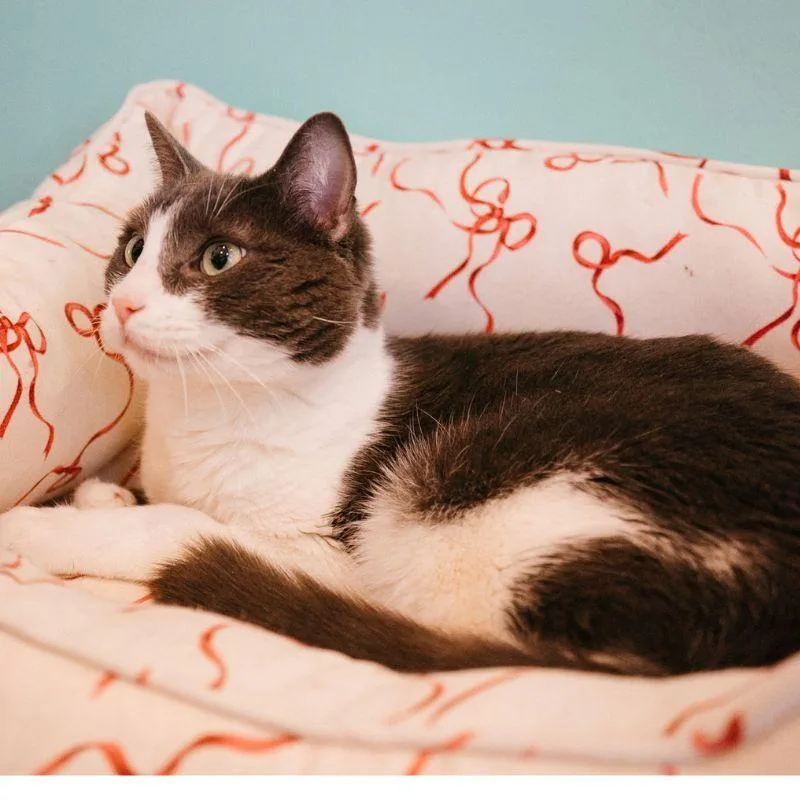 Vancouver thumbnail 3