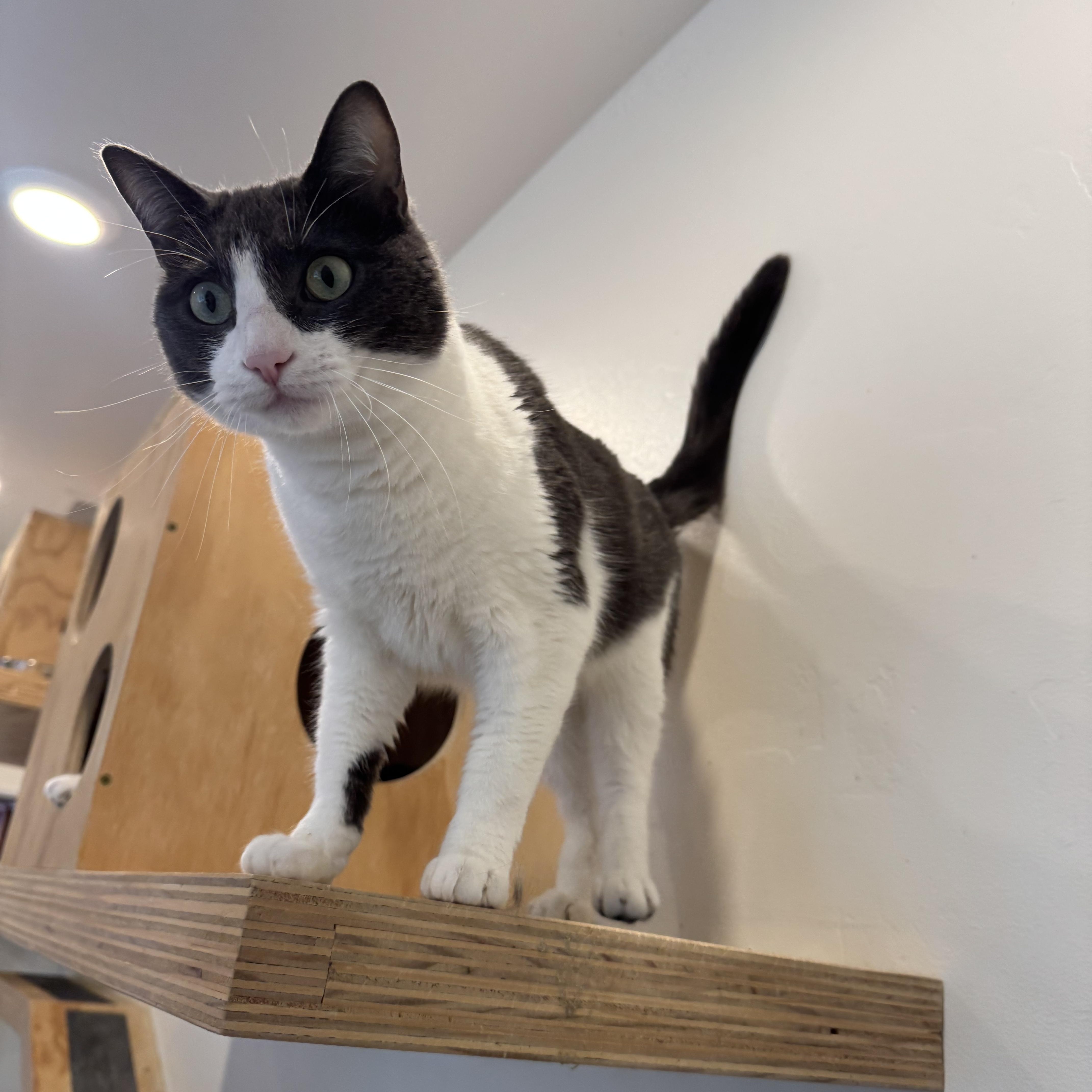 Vancouver thumbnail 4