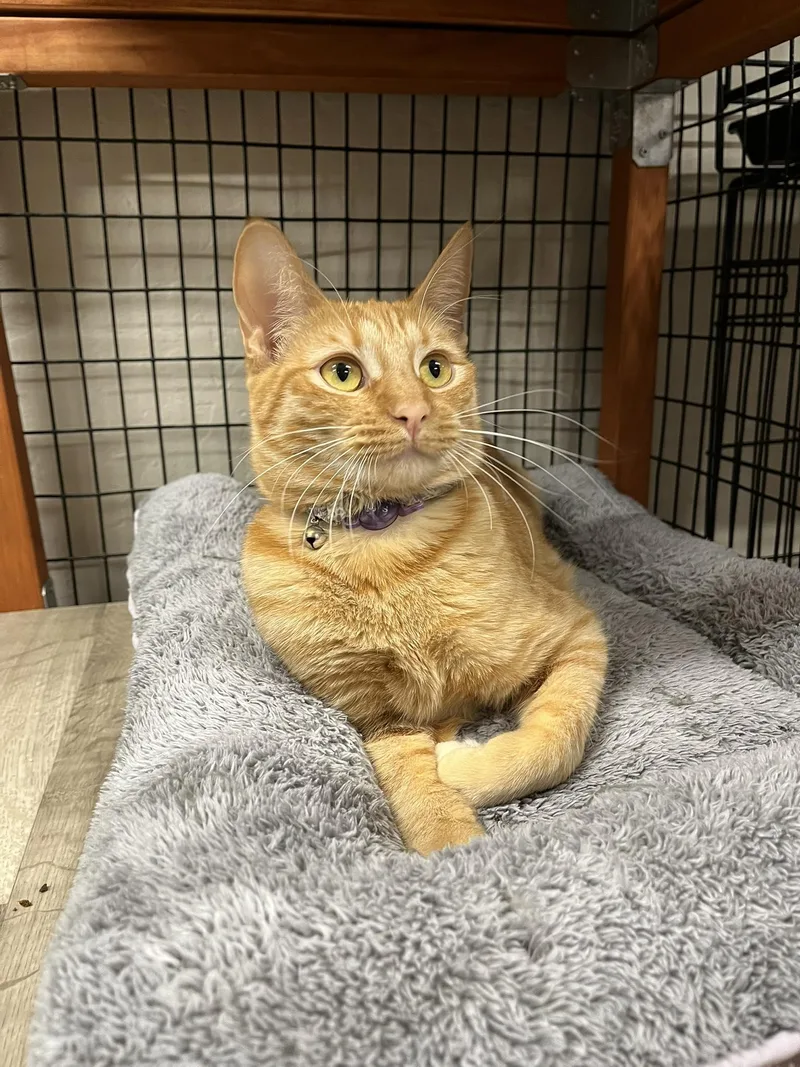 Sunset And Sunshine thumbnail 2