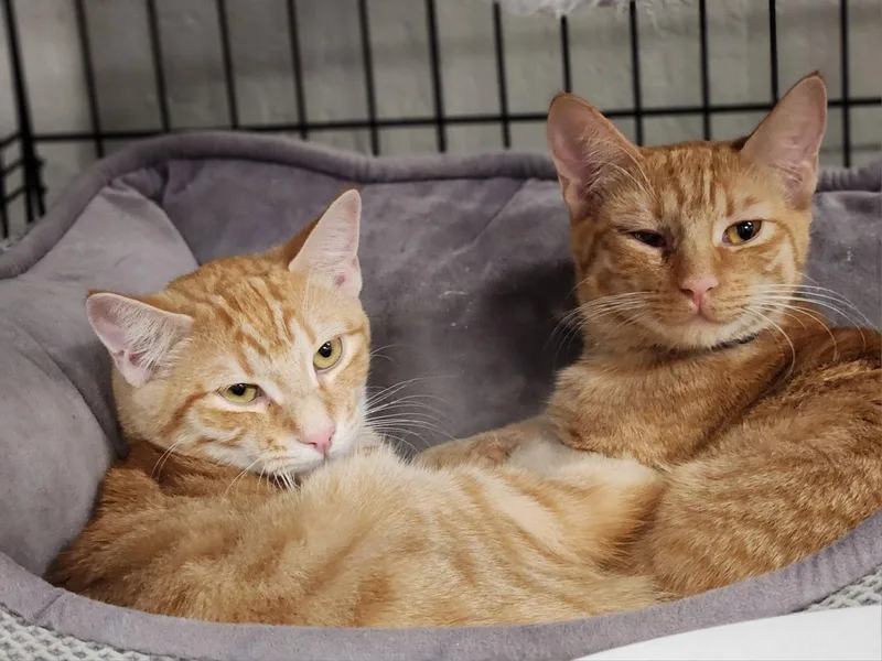 Sunset And Sunshine thumbnail 3