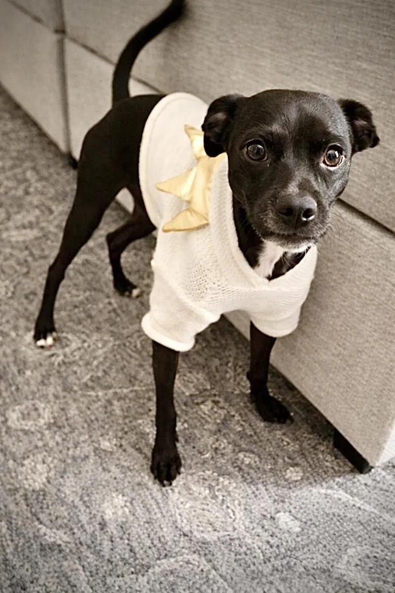 Lovely Lemon thumbnail 2