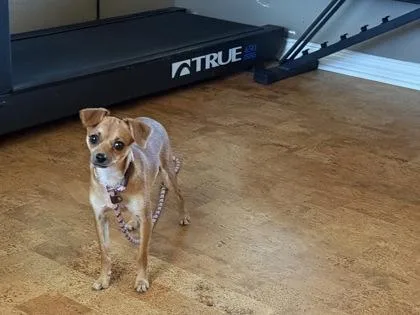 Clementine thumbnail 2