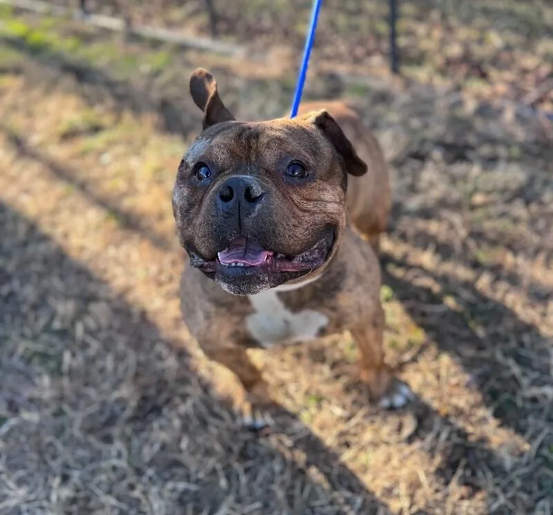 King George thumbnail 2