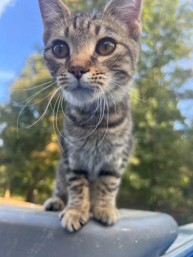 Little One thumbnail 2