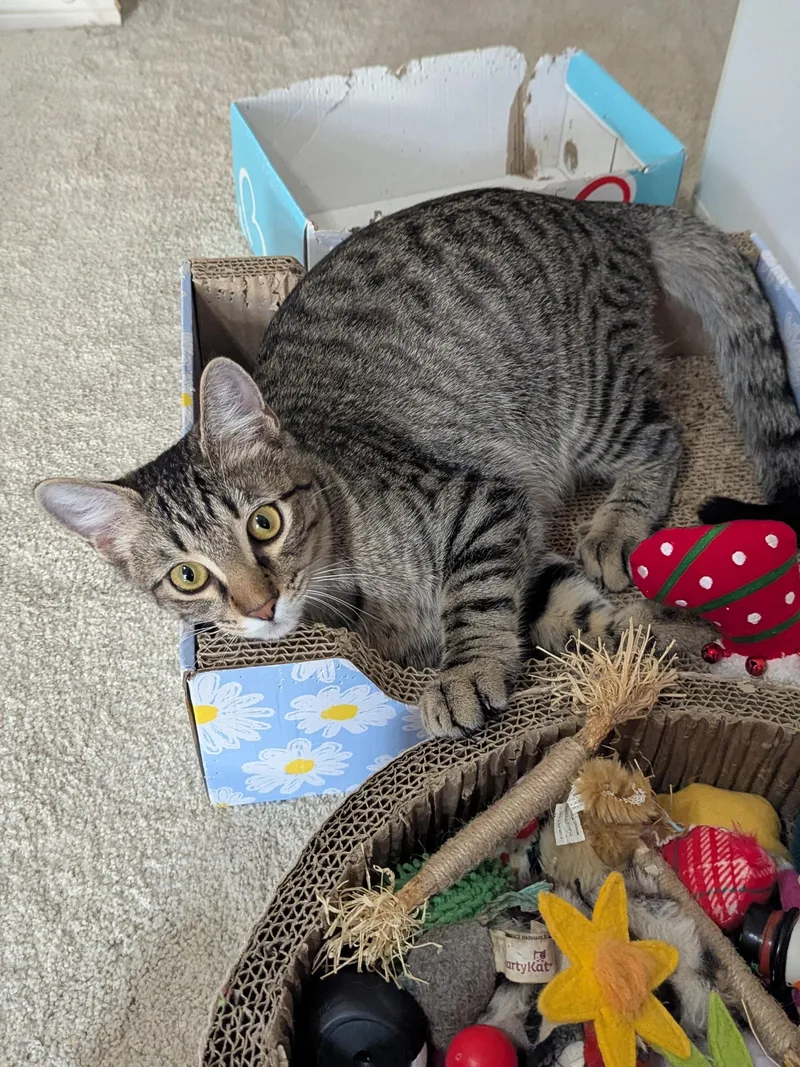 Little Bit thumbnail 3