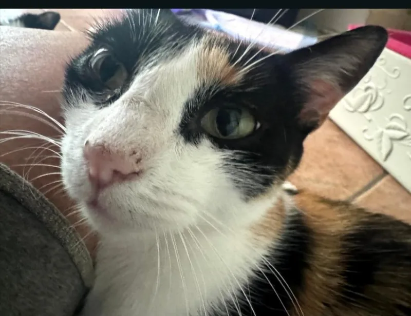 Spumommi thumbnail 3