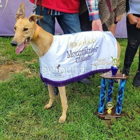 Teasers Tickle thumbnail 3