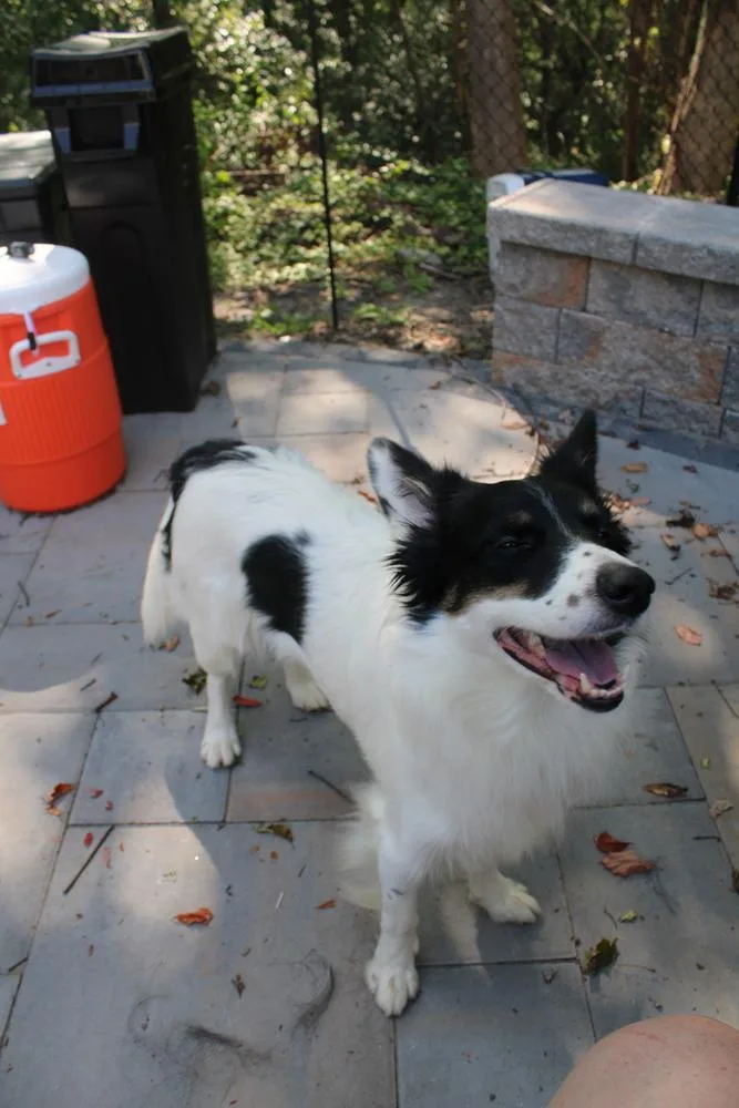 Ryder Ct thumbnail 2