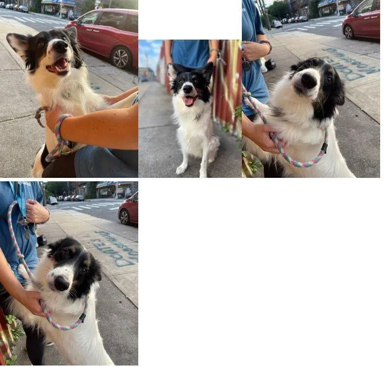 Ryder Ct thumbnail 3