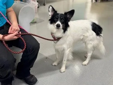 Ryder Ct thumbnail 5