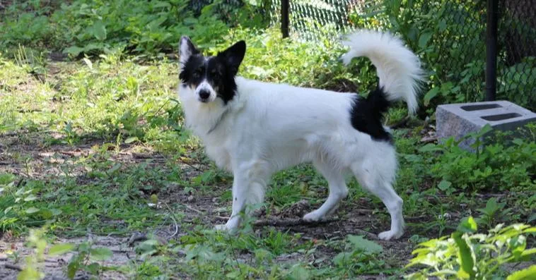 Ryder Ct thumbnail 6