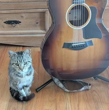 Jimi