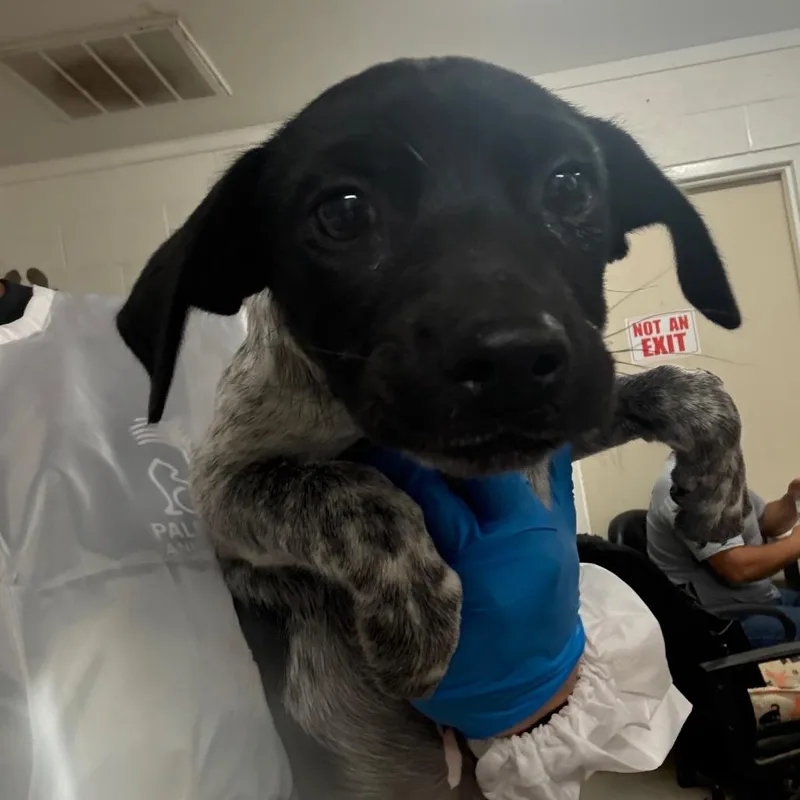 Nathaniel thumbnail 2