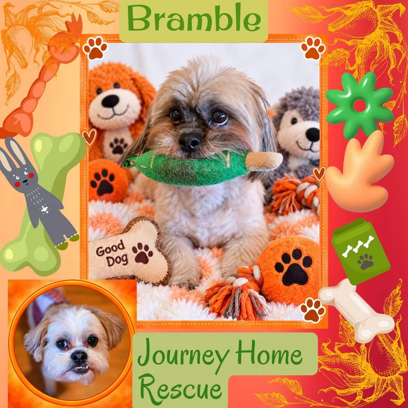 Bramble