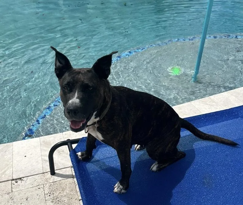 Sheila