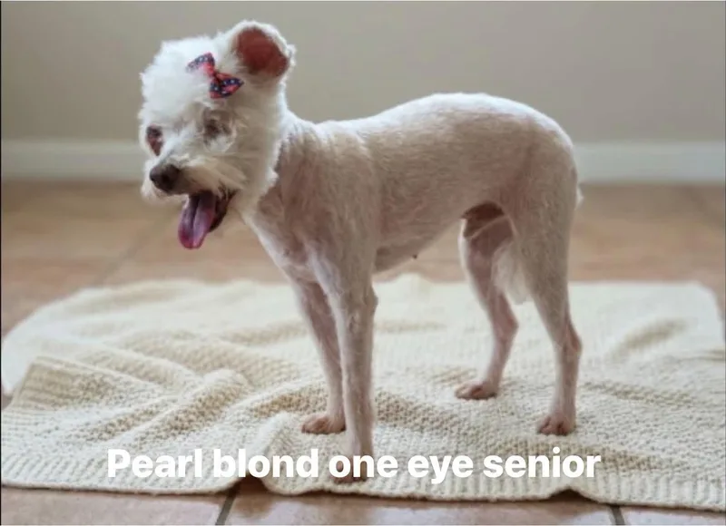Pearl