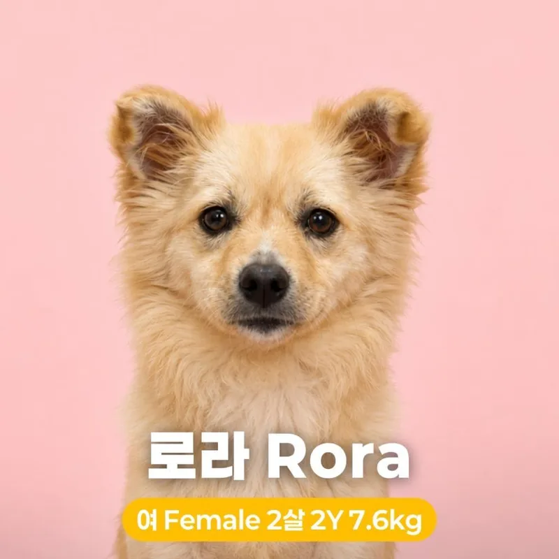 Rora thumbnail 4