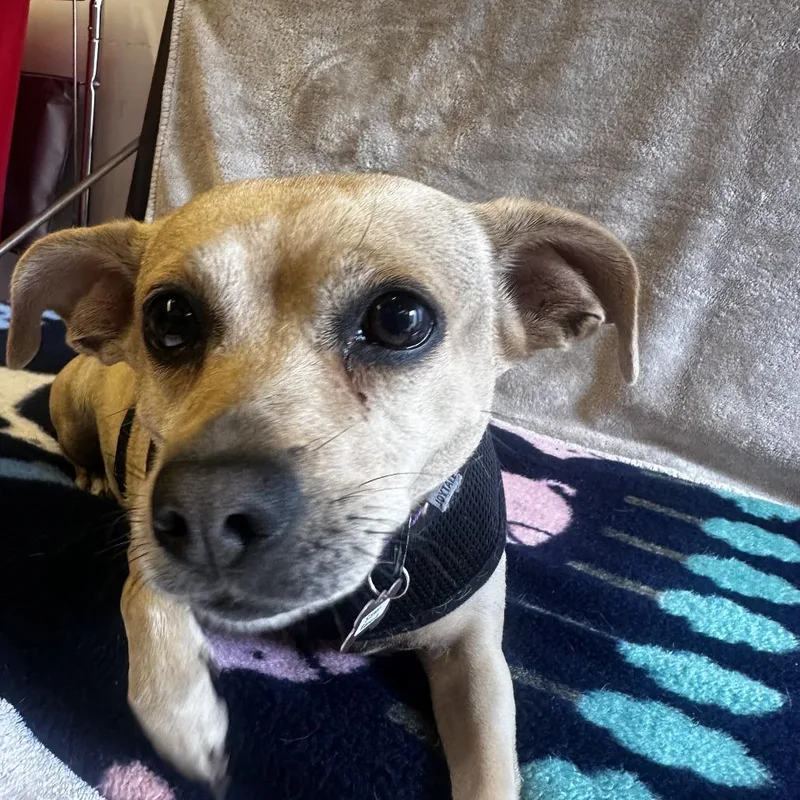 Sister Ramona thumbnail 3