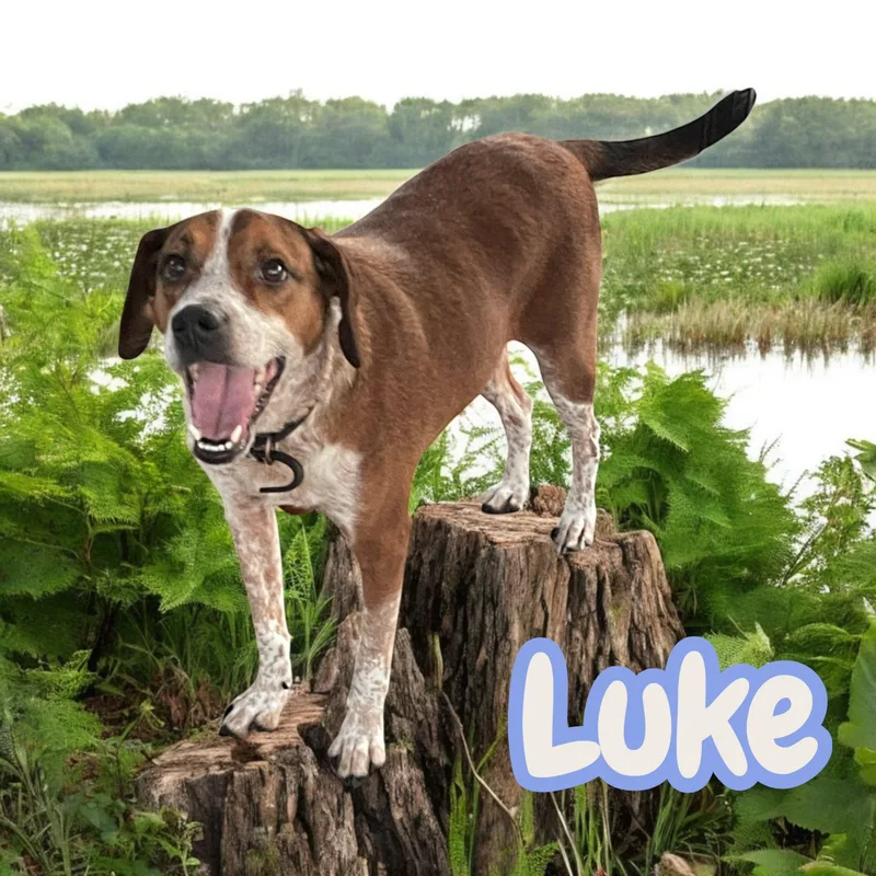 Luke  Sc thumbnail 2