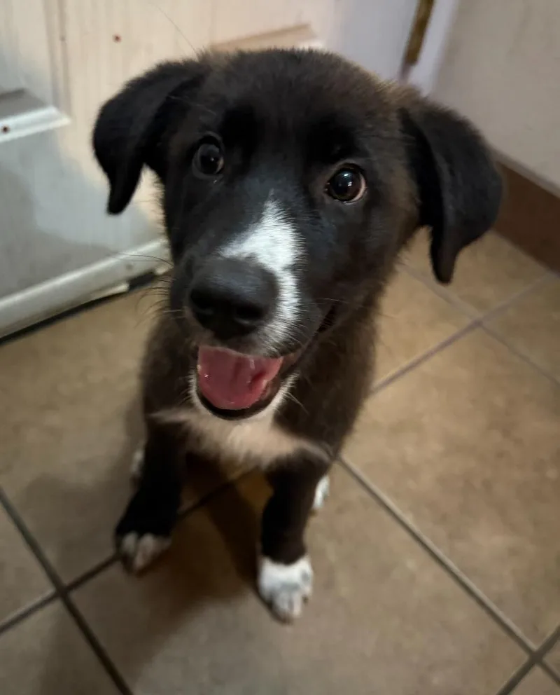 Luna