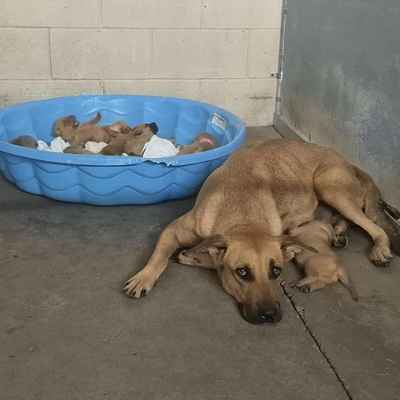 Mama June Bug thumbnail 2