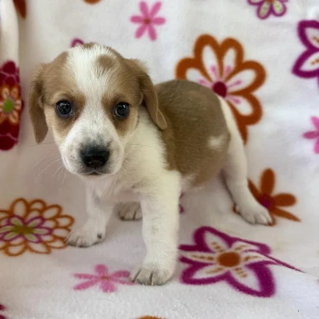 Kickball thumbnail 2