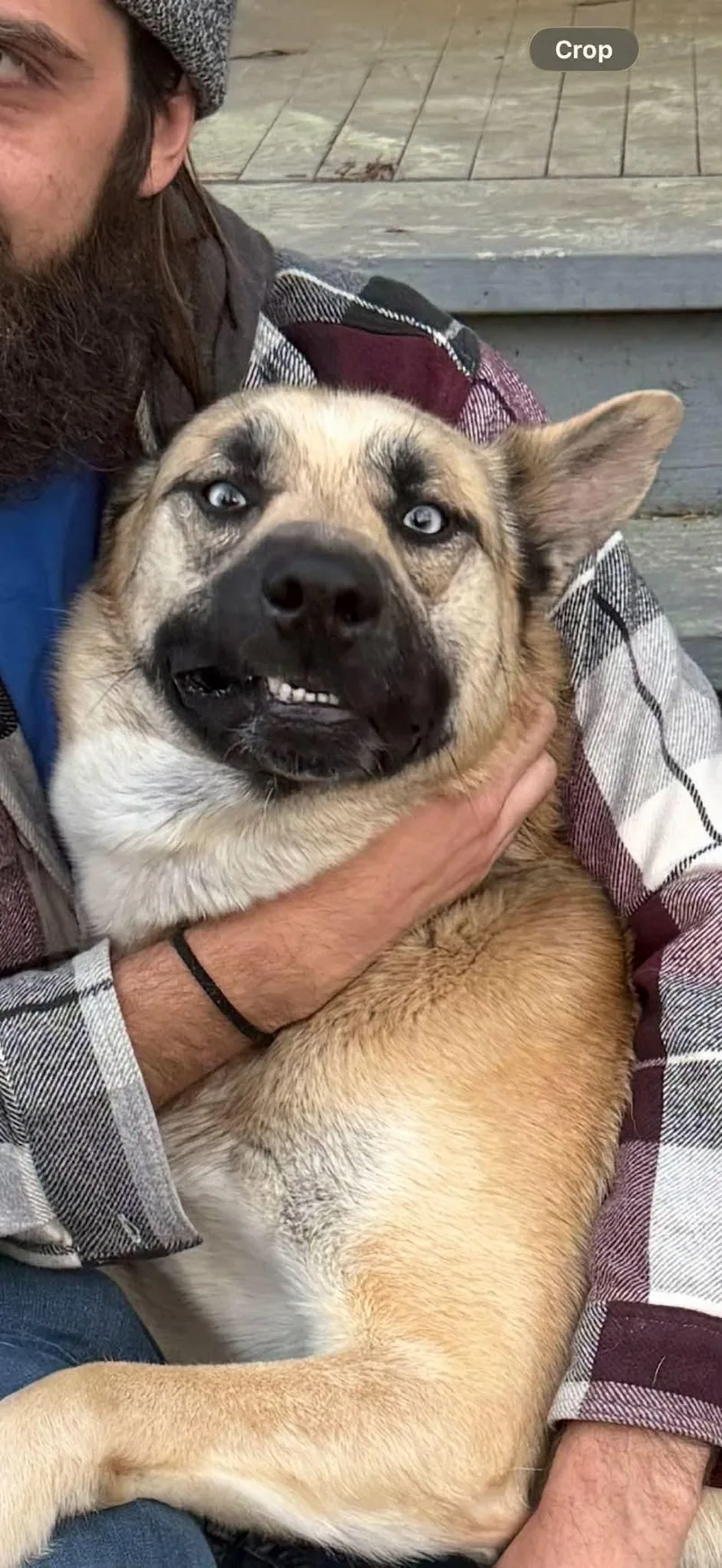 Big Papa thumbnail 2