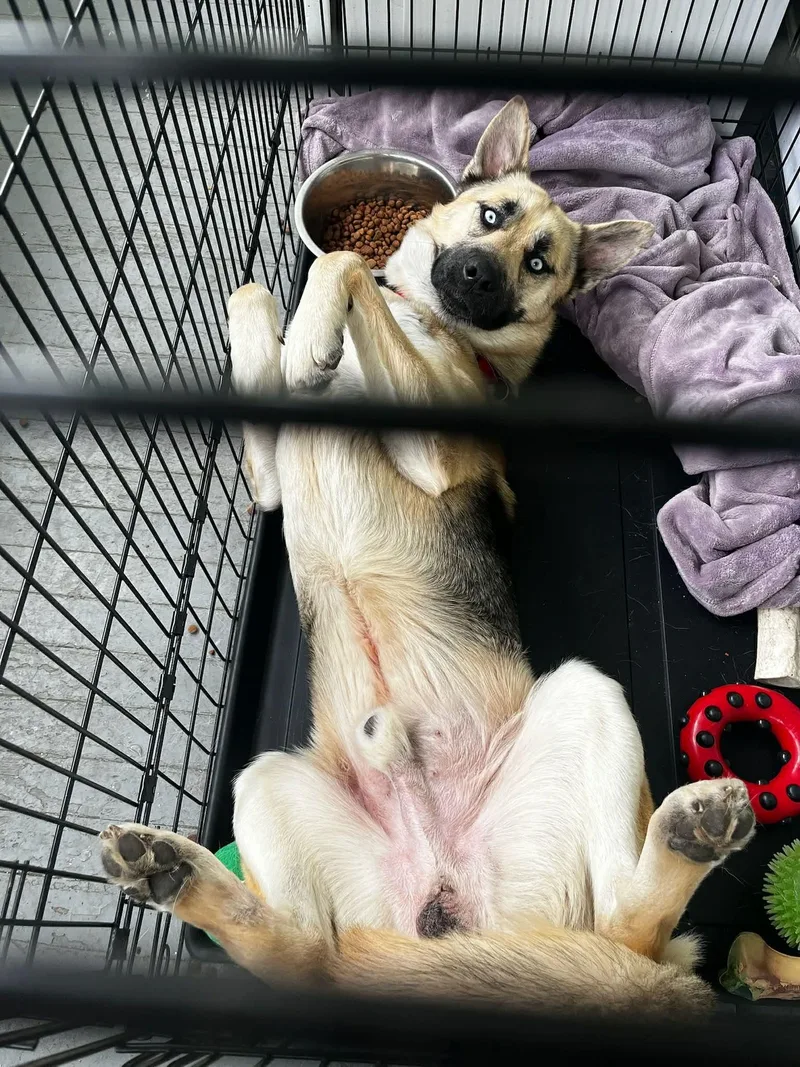 Big Papa thumbnail 3