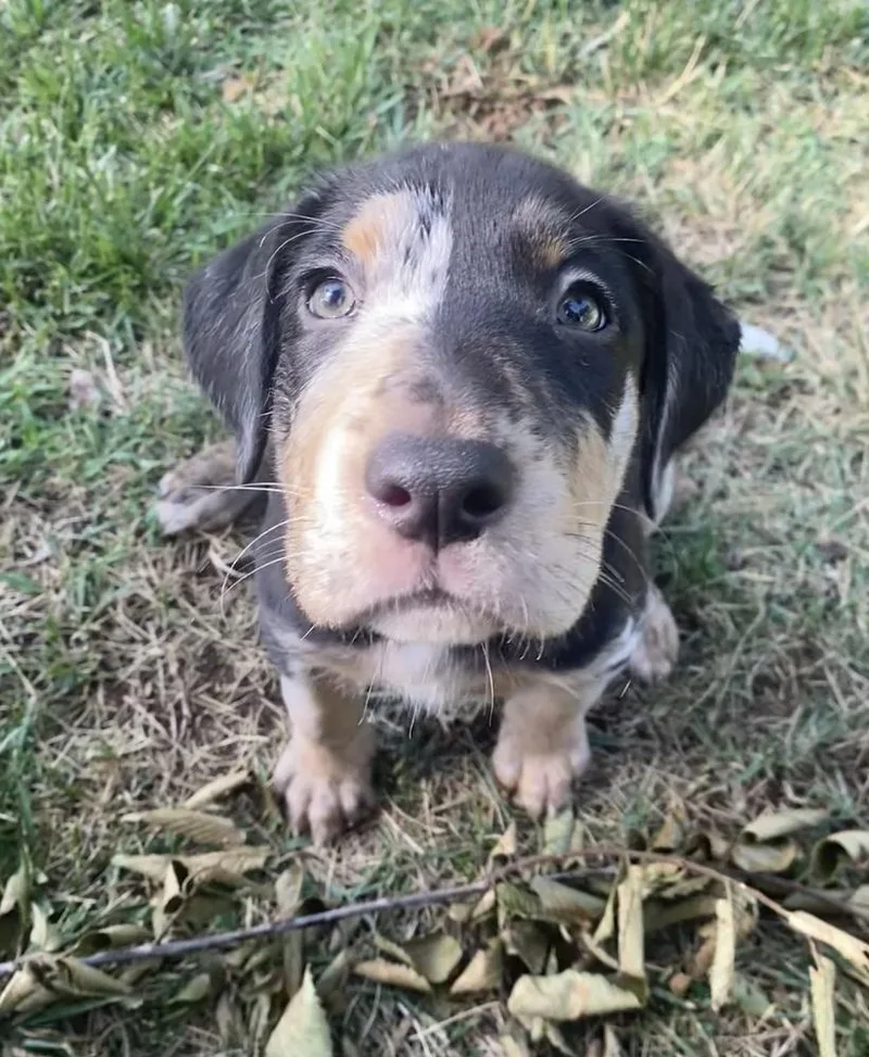 Charlie Fka Blake thumbnail 2