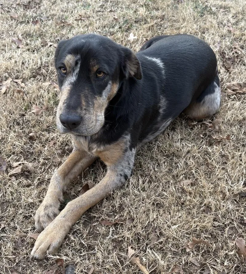 Charlie Fka Blake thumbnail 3