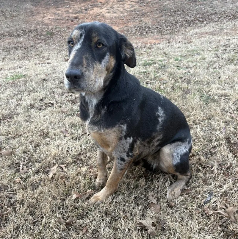 Charlie Fka Blake thumbnail 5