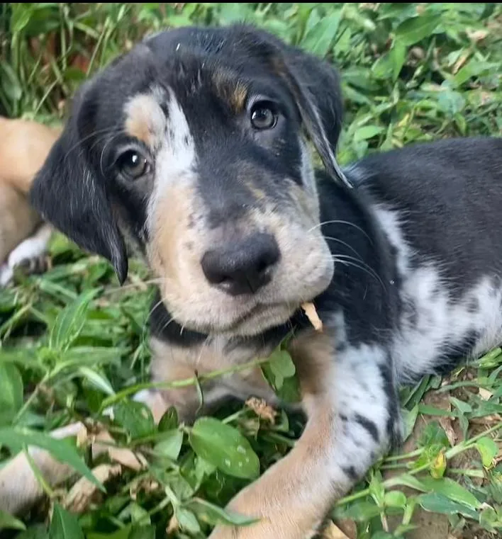 Charlie Fka Blake thumbnail 6