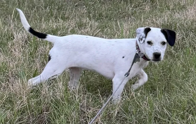 Nebraska thumbnail 2