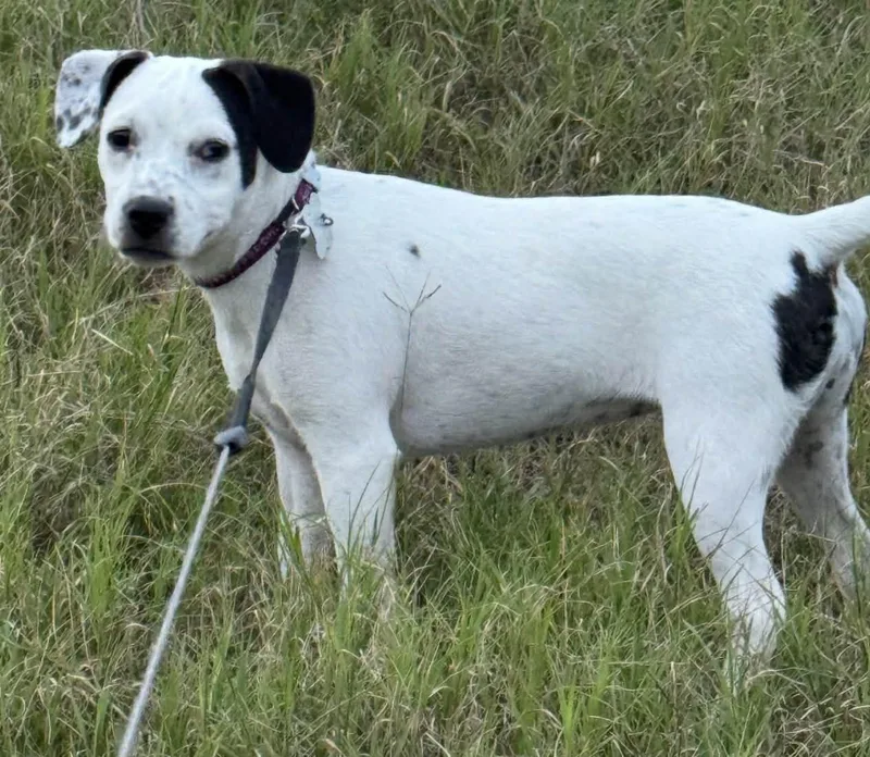 Nebraska thumbnail 3