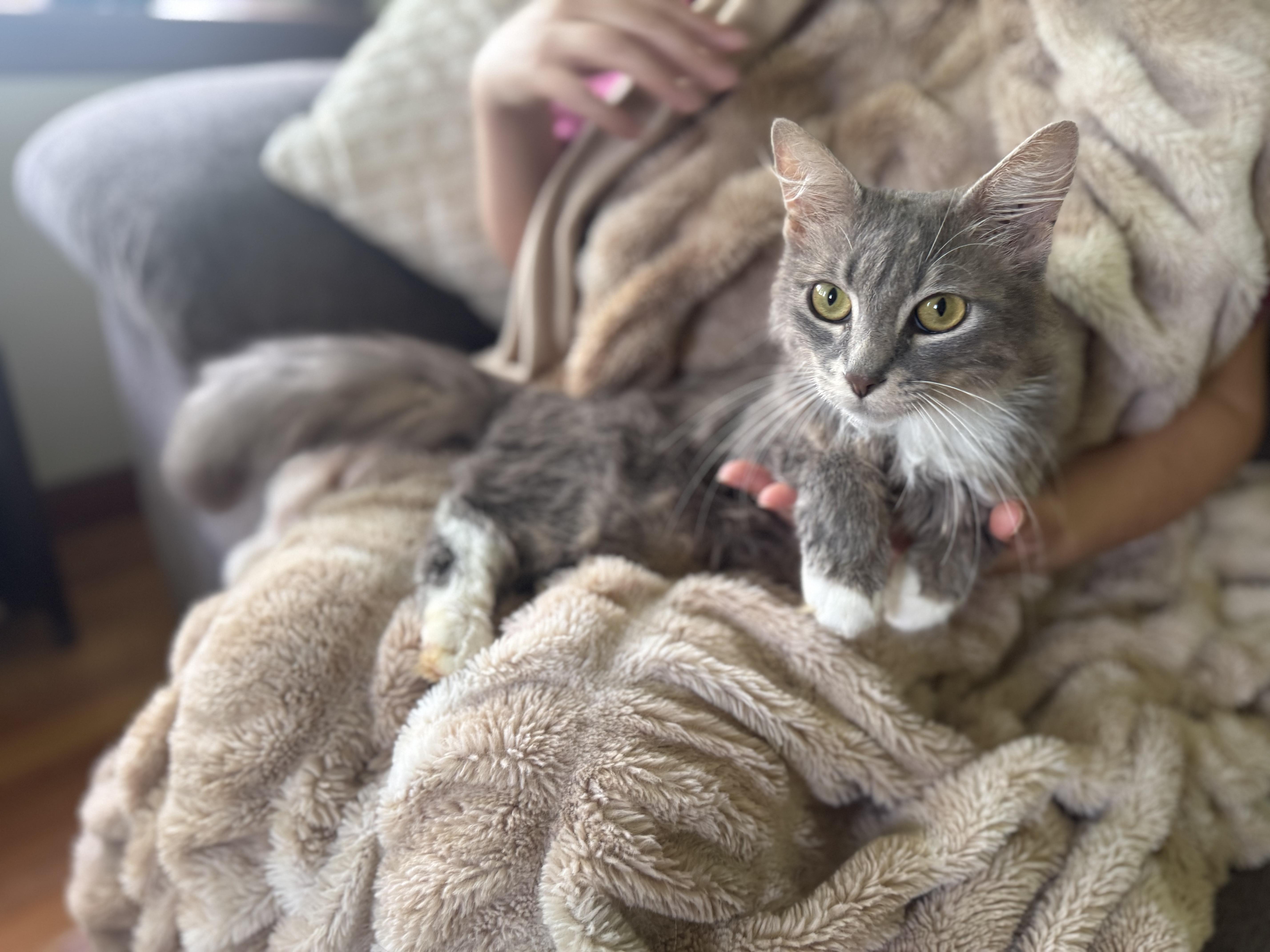 Lady Jane Grey thumbnail 3