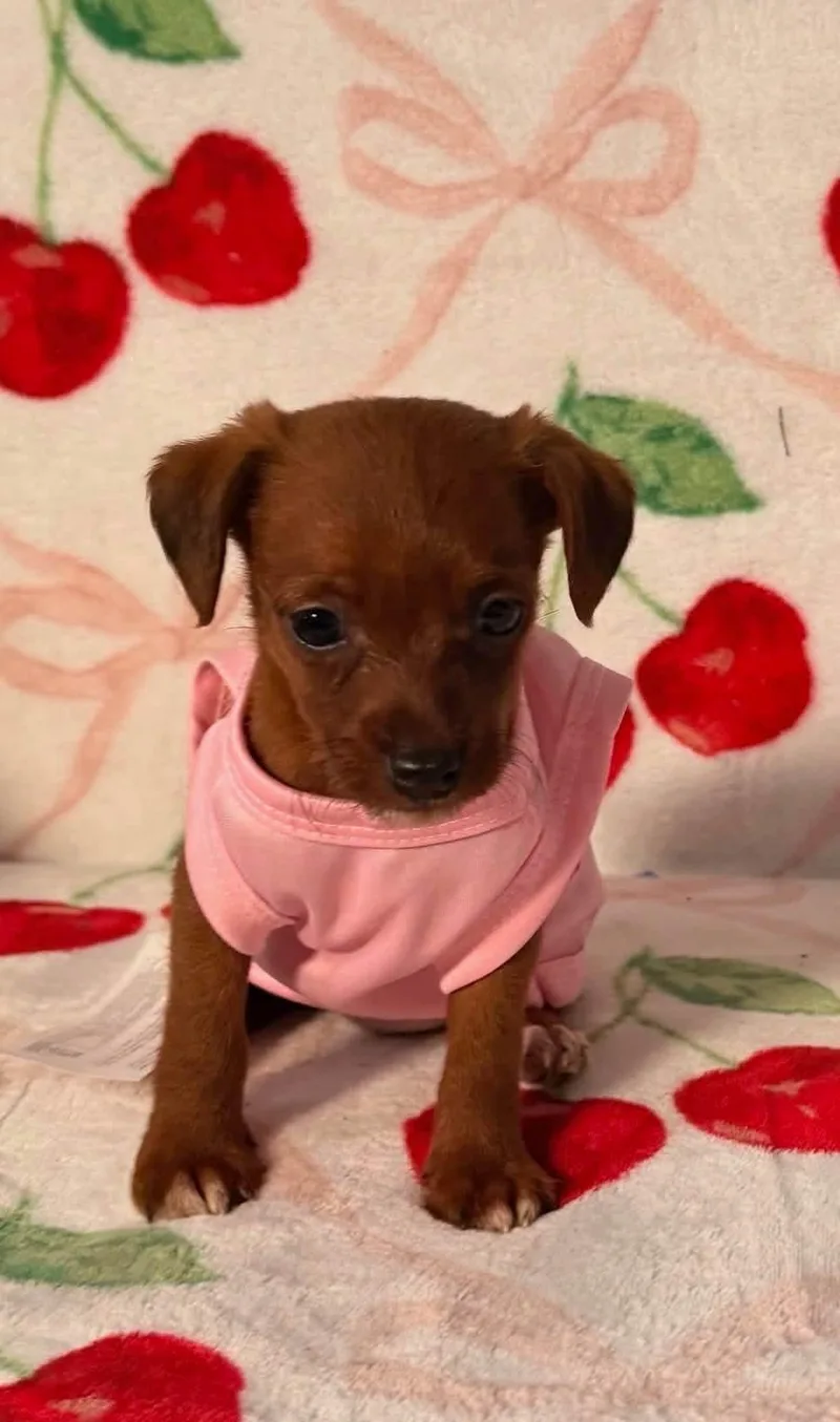 Betty