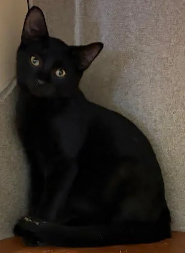 Salem