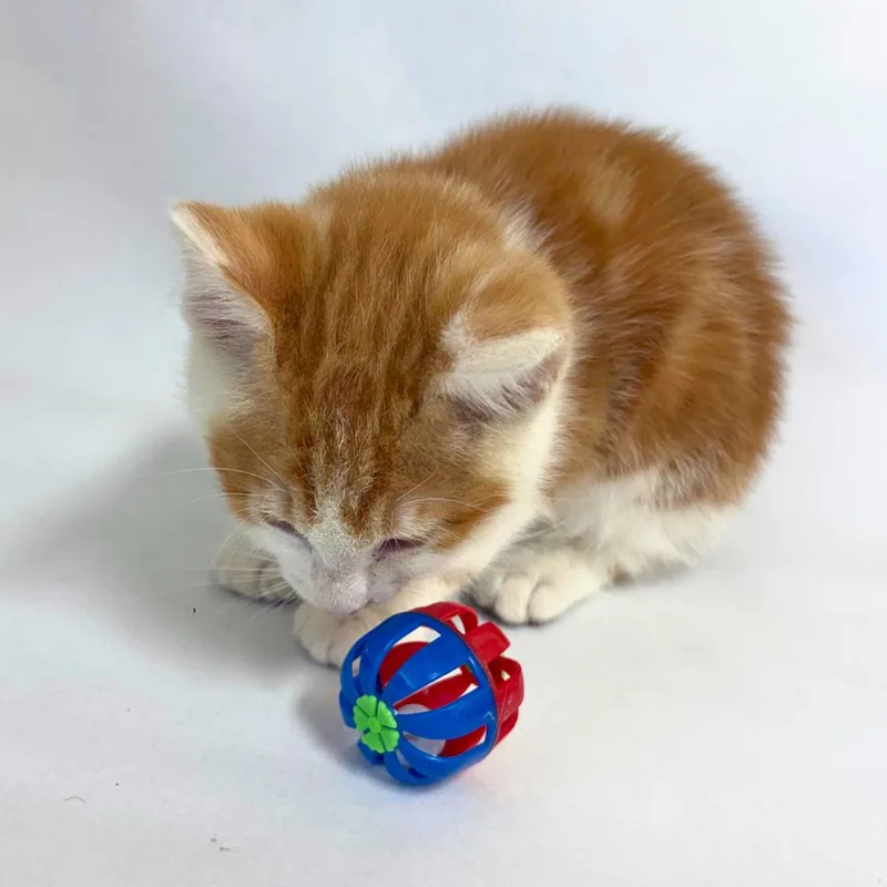 Charlie thumbnail 3