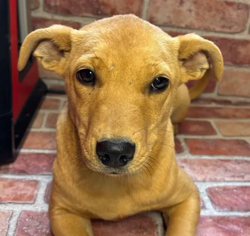 Too Much thumbnail 2