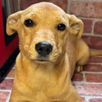 Too Much thumbnail 3