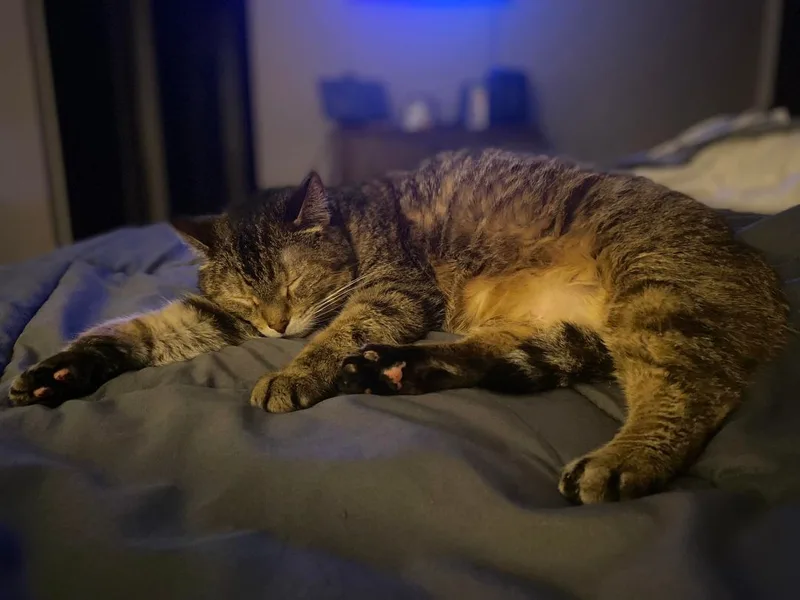 Rocky  Richmond  thumbnail 2