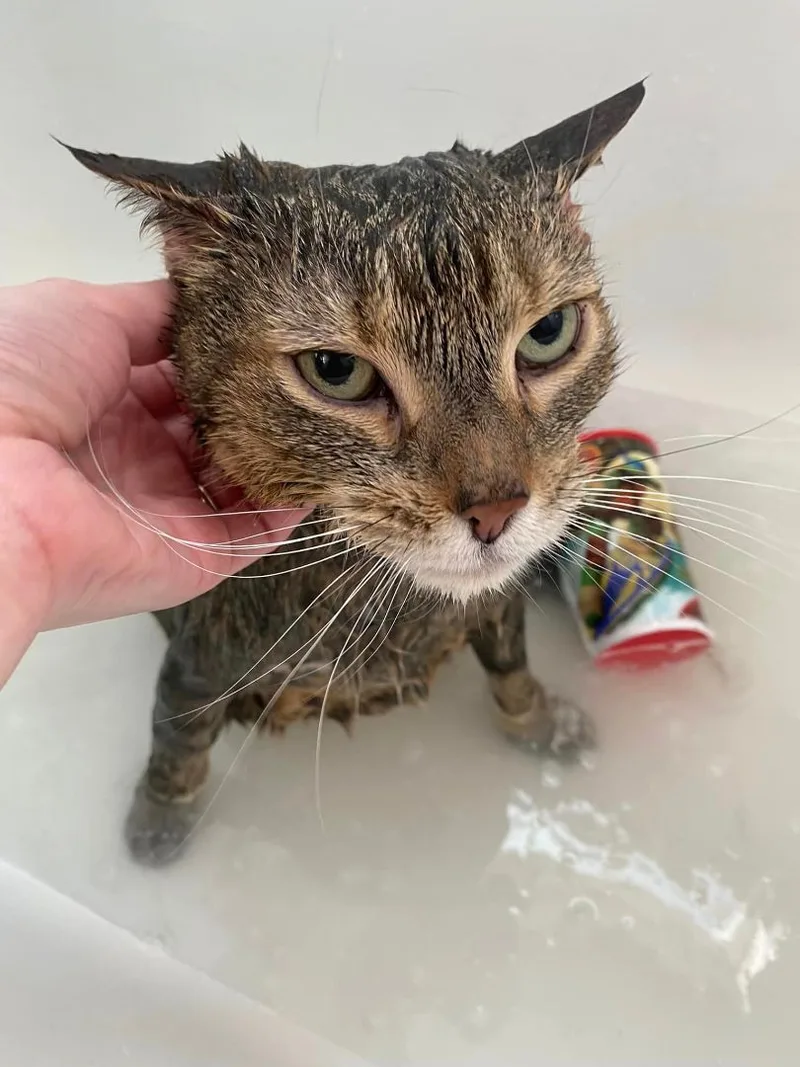 Rocky  Richmond  thumbnail 3